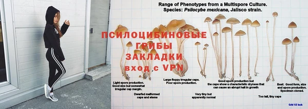 каннабис Богданович