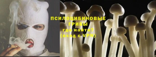 каннабис Богданович