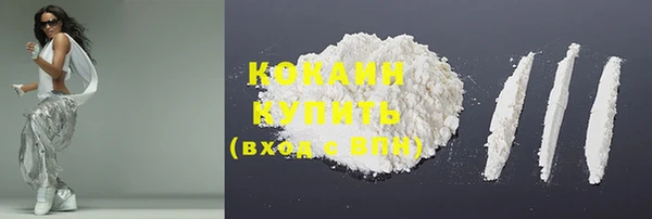 mdpv Богородск